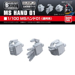 MS Hand 01 - BPHD-07