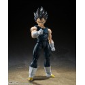 S.H.Figuarts - Vegeta - Super Hero