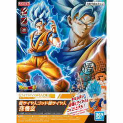 Entry Grade - Super Saiyan God Goku
